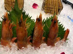 -翠府(翠湖北路店)
