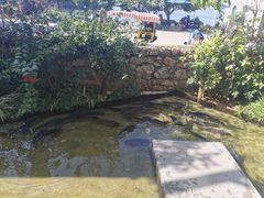 -大理老字号·舟渔的鱼野生菌海景餐厅(双廊店)