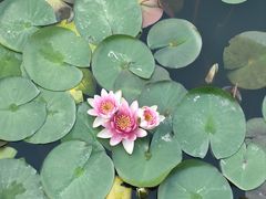 -南阳建业森林半岛假日酒店