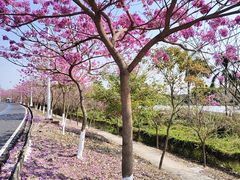 -广州市紫泥堂文化创意园景区