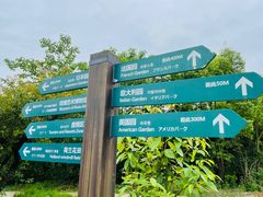 -都江堰玫瑰花溪谷