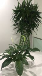 -悟空祛痘·诺奖技术专业店