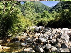 -秦岭风景区