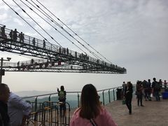 -梦幻奥陶纪景区