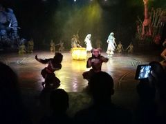 -狮子王庆典
