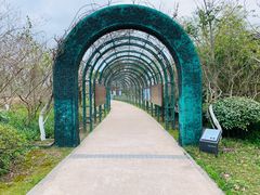 -杭州湾海上花田景区