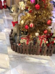 -永琪美容美发全国直营连锁