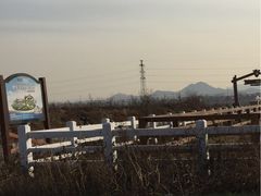 -君乐宝优致牧场
