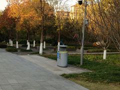 -昆山城市生态森林公园