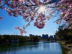 -新江湾城公园
