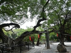 -小洲村