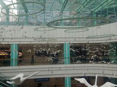 -大族广场Mall&More