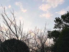 -南昌青山湖风景区