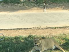 -西安秦岭野生动物园