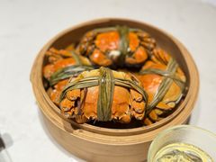 -杨氏青龙虾·羊蝎子(托乐嘉店)