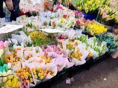 -循礼门鲜花花市(武汉循礼门店)