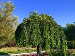 -长春公园(普阳街道)