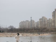 -前关湿地公园
