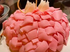 心舞20cm-BLACKSWAN黑天鹅(环球店)