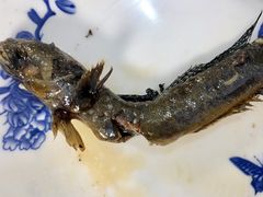 -杨记海鲜楼(三门黑金冠店)