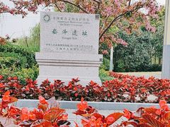 -上海崧泽遗址博物馆