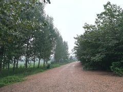 -汉长安城未央宫国家考古遗址公园