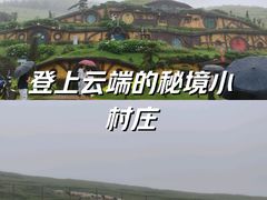 -仰天湖大草原