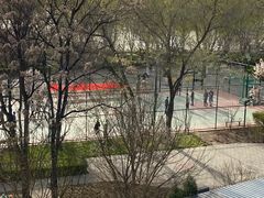 -北京云瑧金陵莲花酒店·莲·川小馆