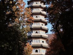 -灵谷景区