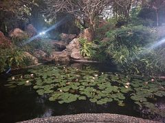 -晓港公园