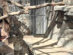 -青藏高原野生动物园