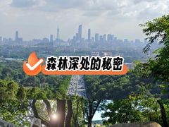-火炉山森林公园