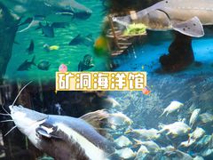 -长鹿旅游休博园