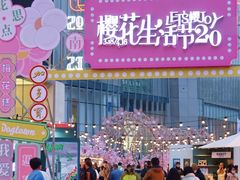 -金茂览秀城