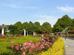 -郑州植物园