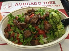 -油梨树 AVOCADO TREE(亮马桥店)