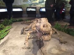 -自贡恐龙博物馆