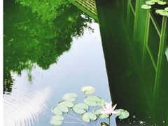 -上合花园花园烧烤(贵阳店)