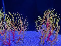 -南昌融创海世界