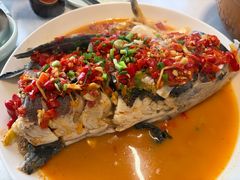 -全乐鱼馆·淳牌有机鱼直营店