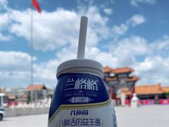 -大召寺明清一条街