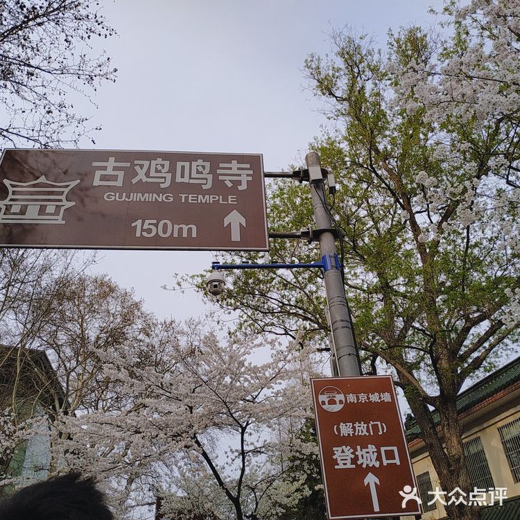 南京打卡#景区#