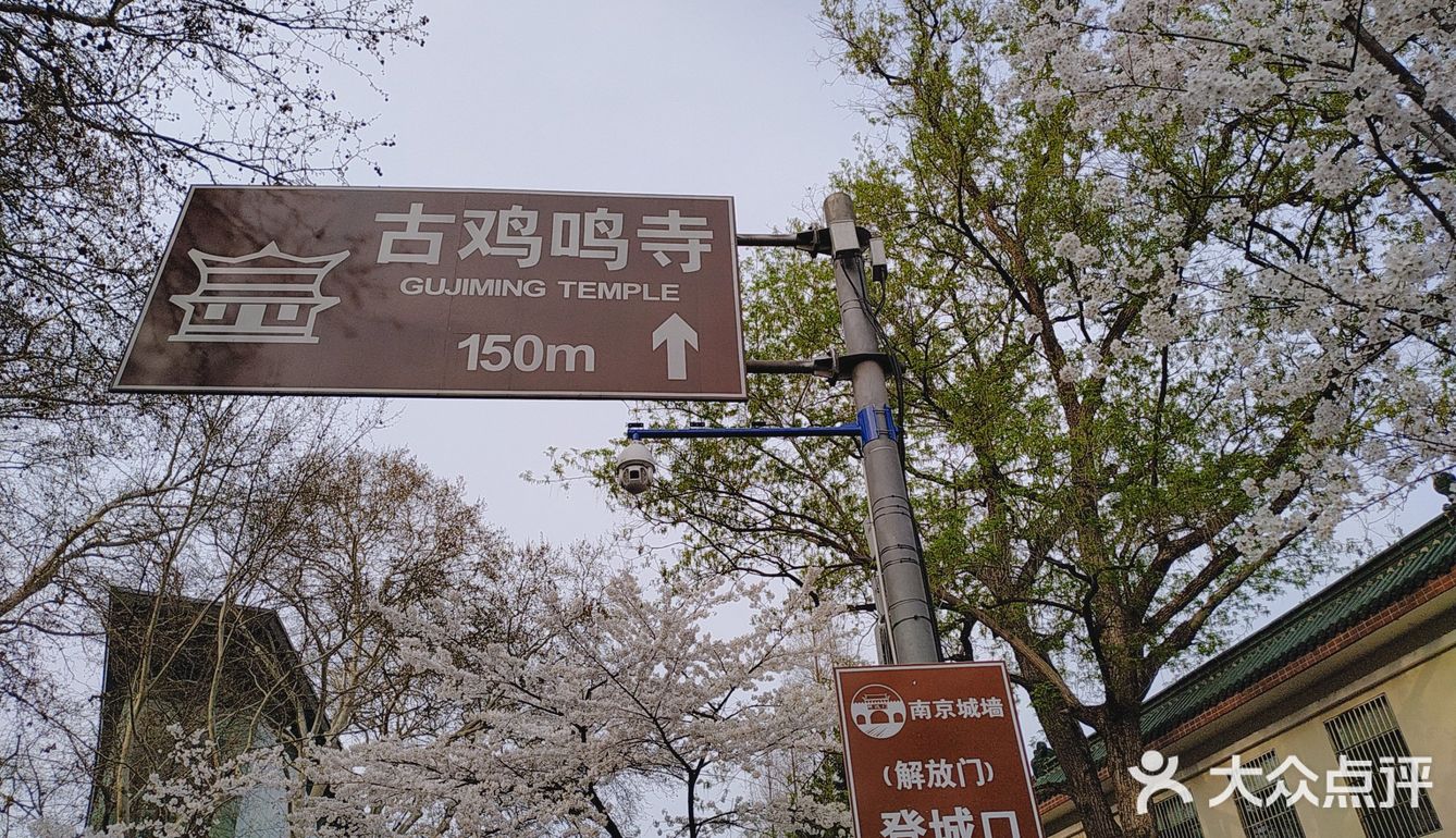 南京打卡#景区#