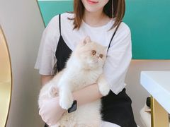 -飞行喵MR PILOT|猫舍·猫咖(静安大融城店)