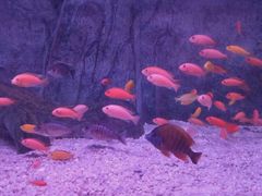 -蓬莱欧乐堡海洋极地世界