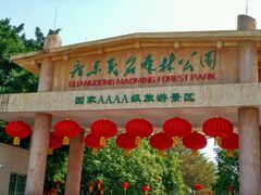 -广东茂名森林公园