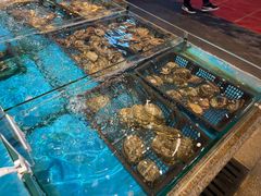-渔公码头·九龙湾国际饭店