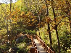-大岭沟猕猴桃谷风景区