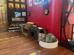 -H立方实景剧情密室(天河旗舰店)