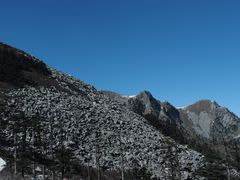-朱雀国家森林公园